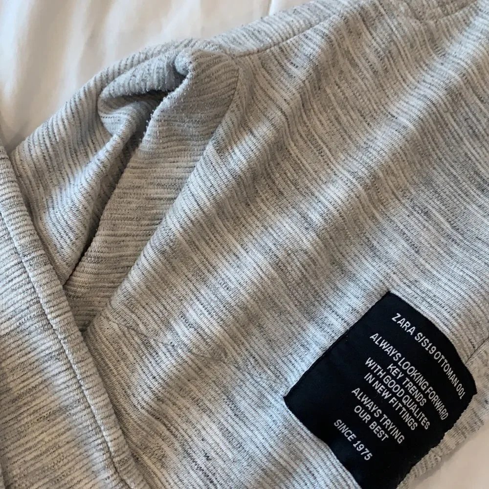 Zara jogger pants
